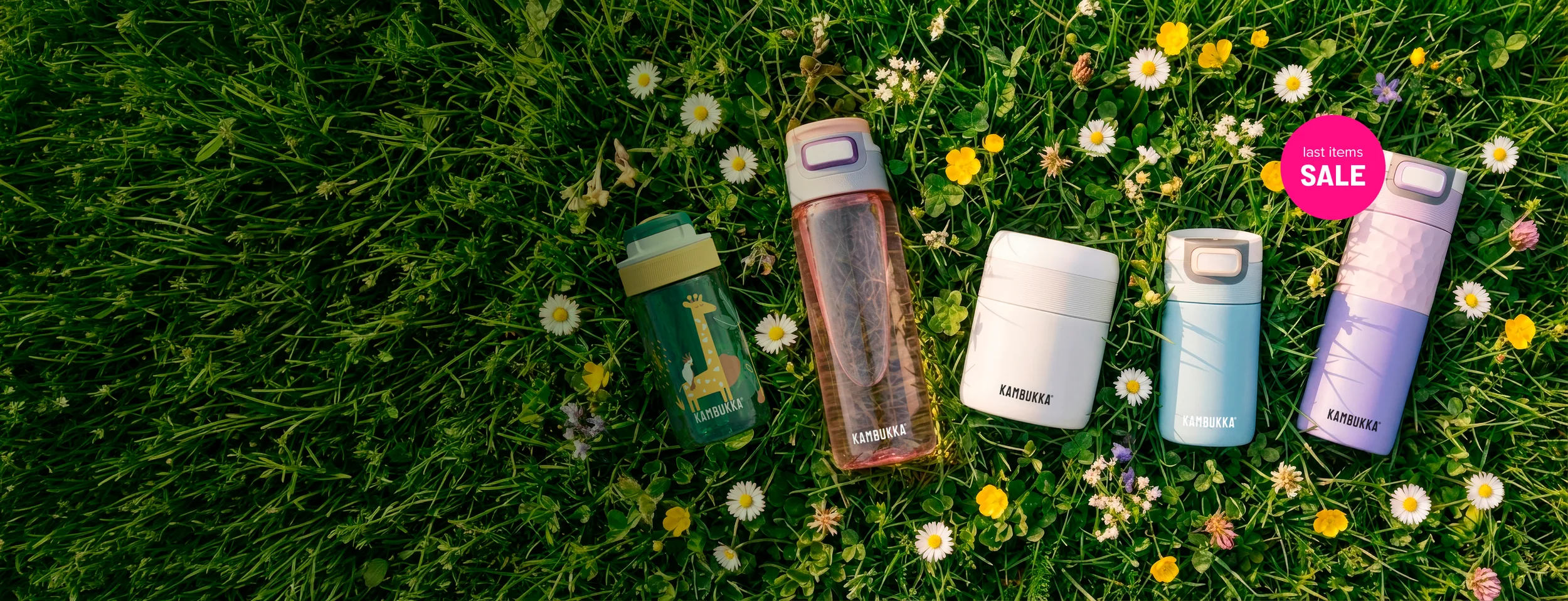 Hydrate Your Next Great Adventure