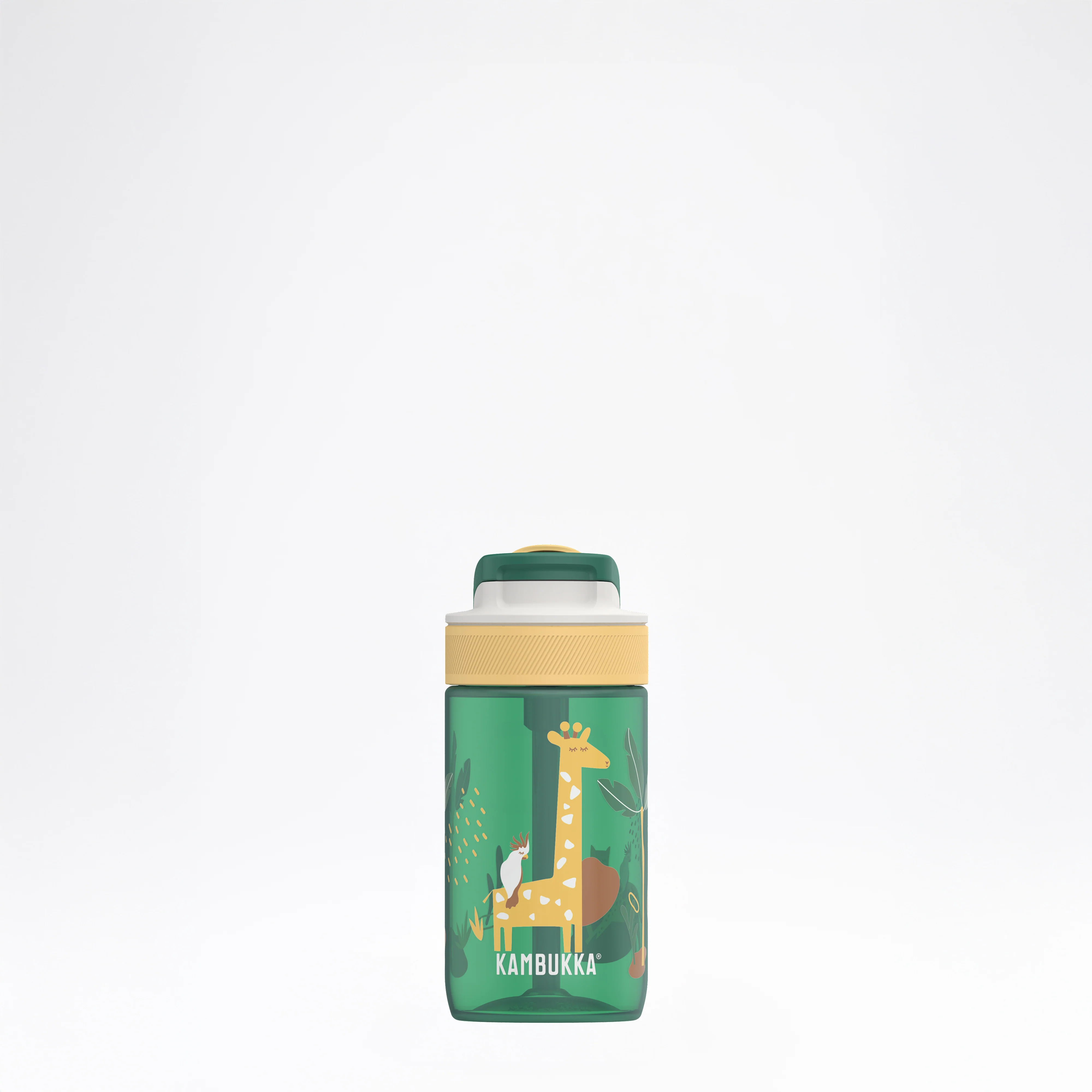 Clear-out sale: Water bottles